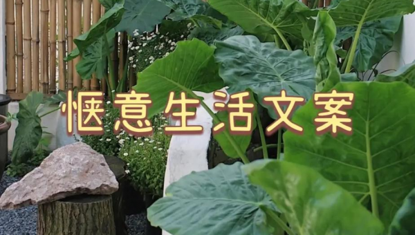 怎样躺着刷视频播放抖音，享受舒适惬意的时光