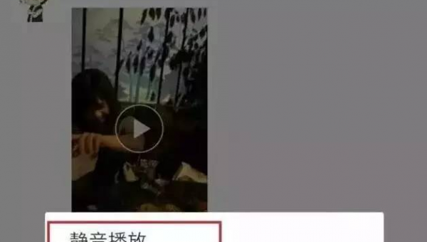 微信视频号悄悄告诉你——谁看过你的视频？